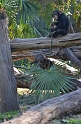 Kids_DZooWBrits (292)